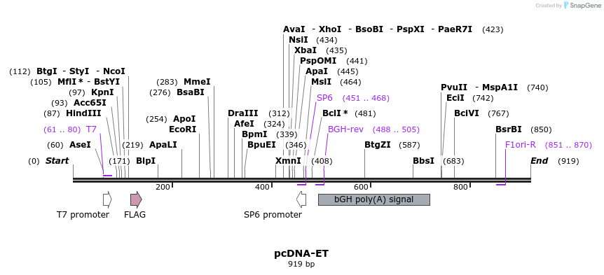 135203_map