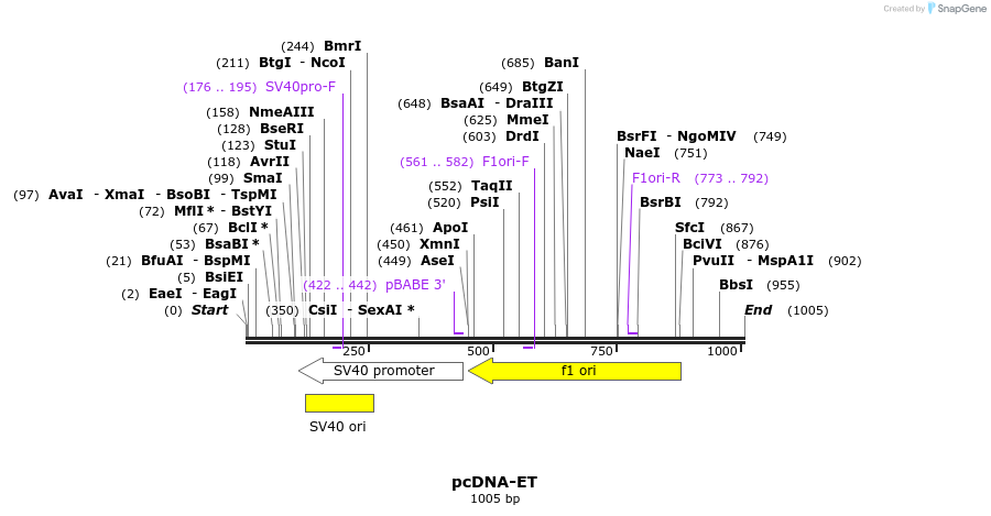 135204_map