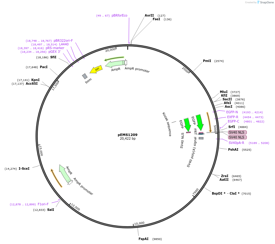 13521_map