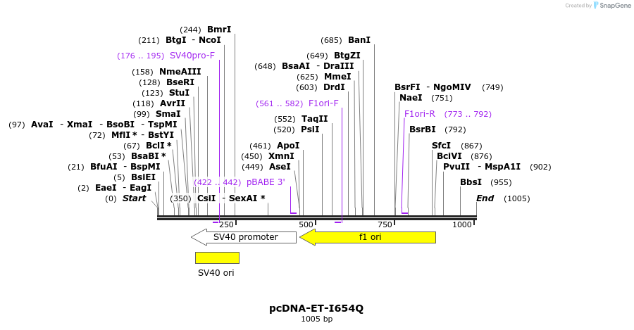135214_map
