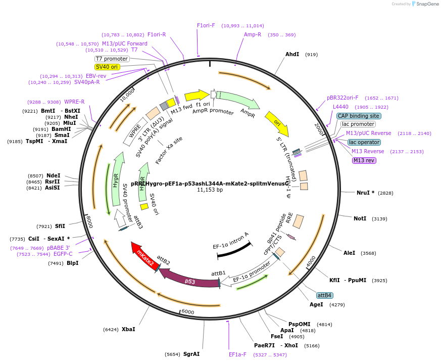 135215_map