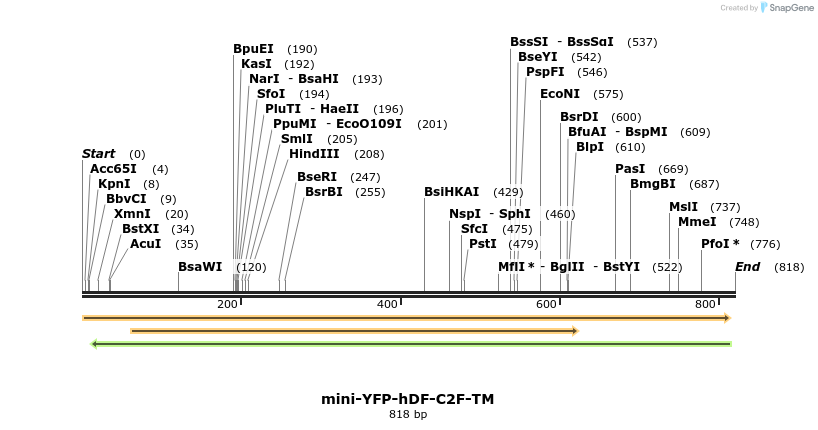 135216_map