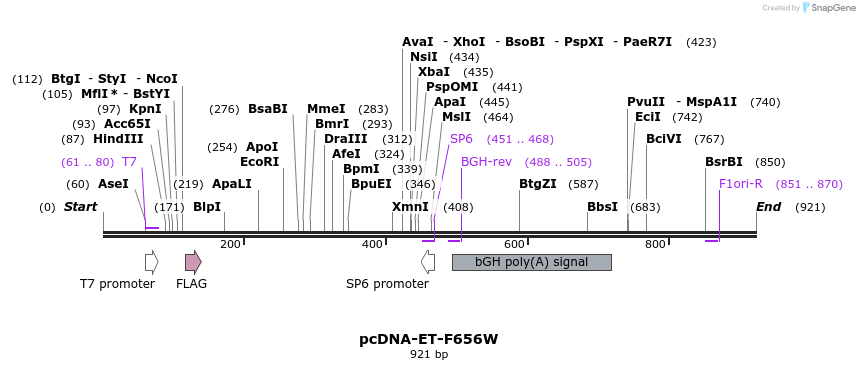 135217_map