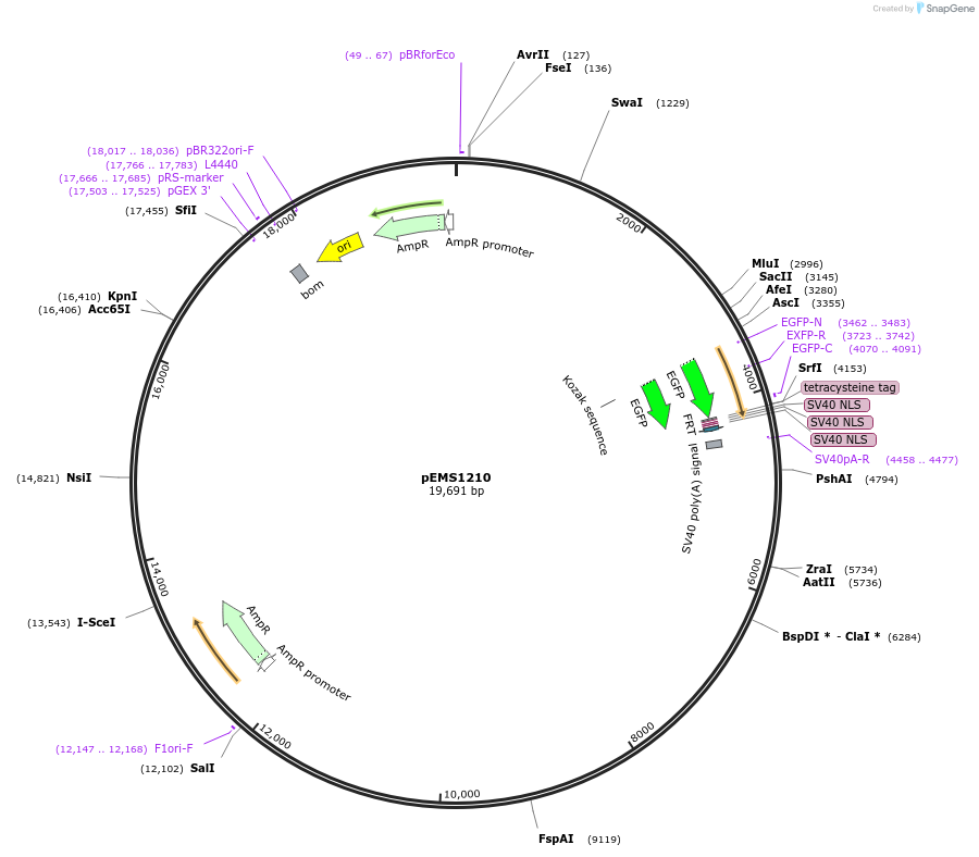 13522_map