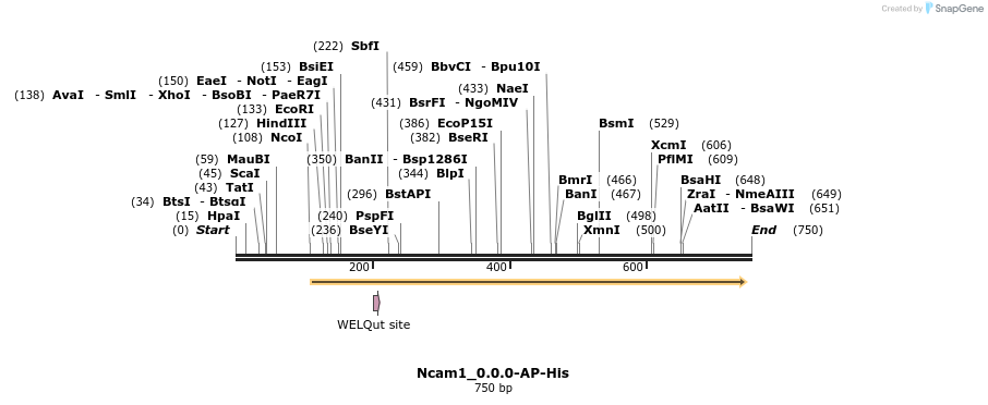135225_map