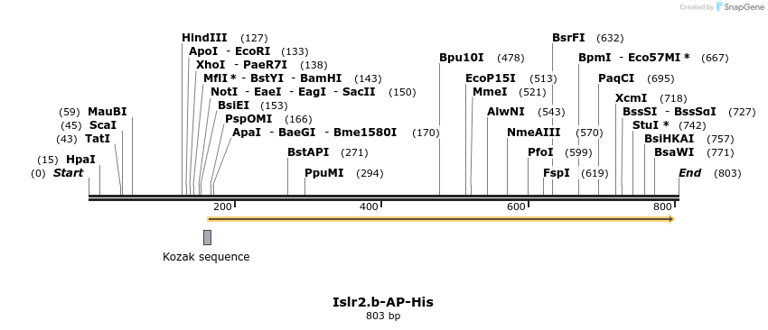 135227_map
