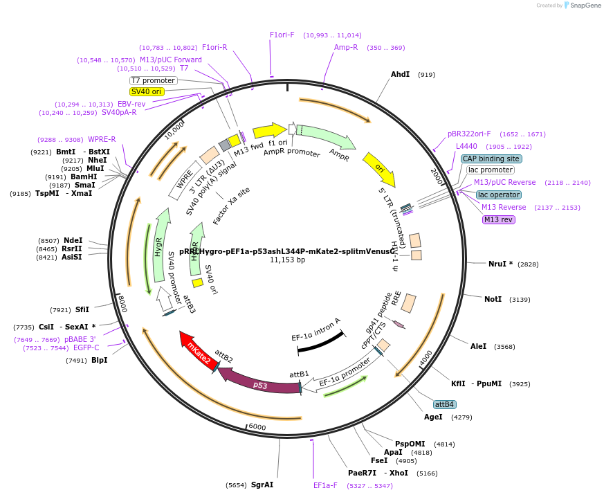 135230_map