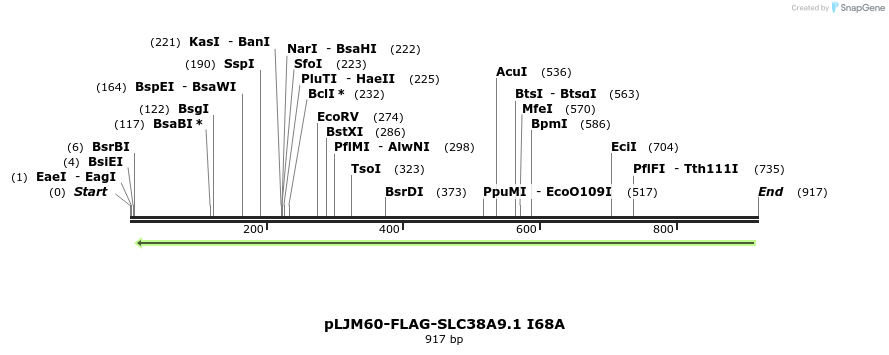 135231_map