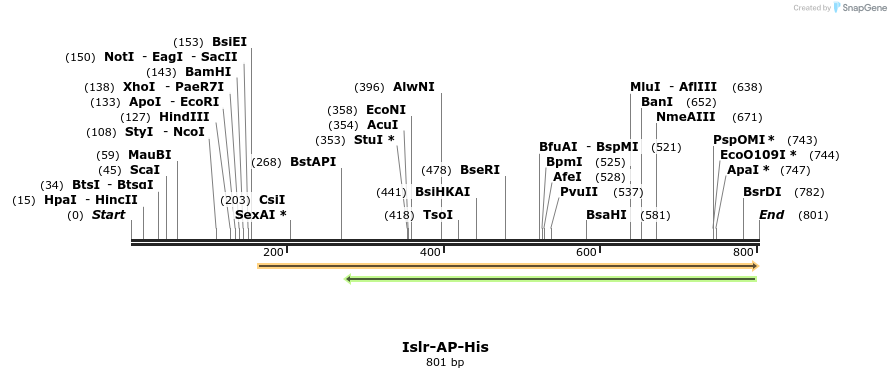 135233_map