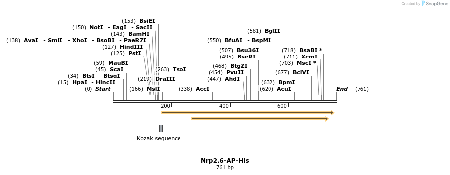 135236_map