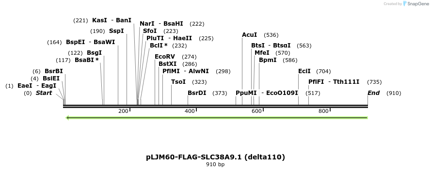 135238_map