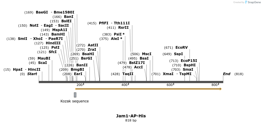 135241_map