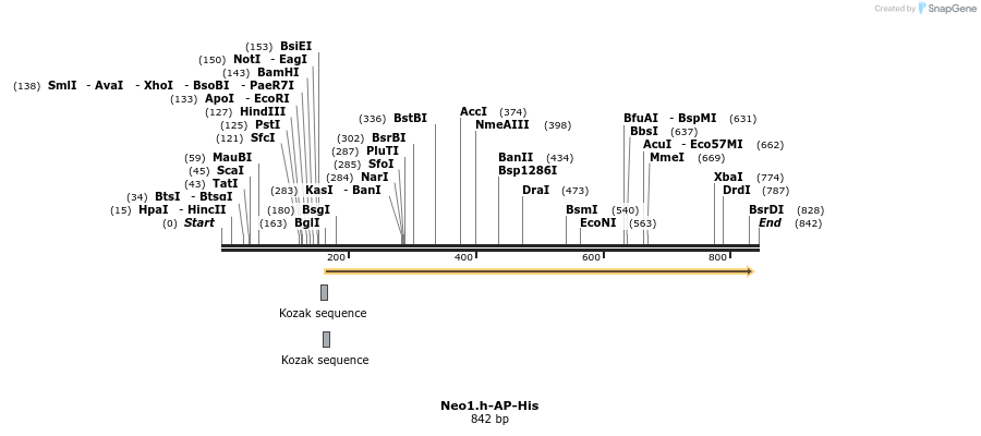 135242_map