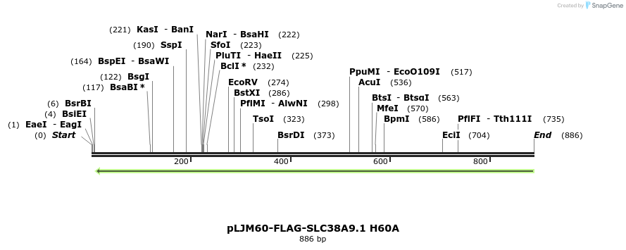 135246_map