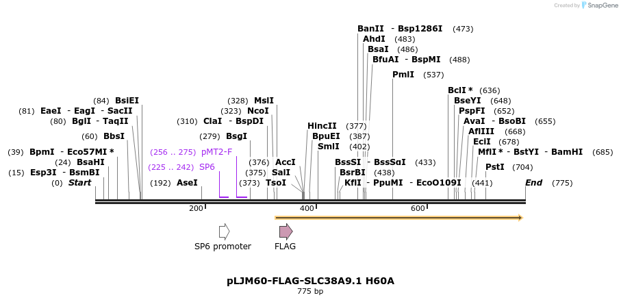 135247_map