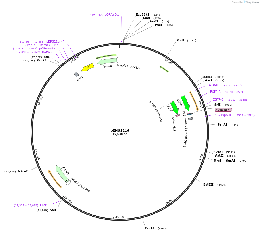 13525_map
