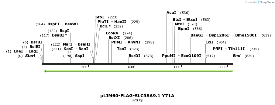 135250_map