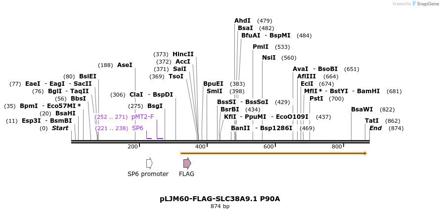 135255_map