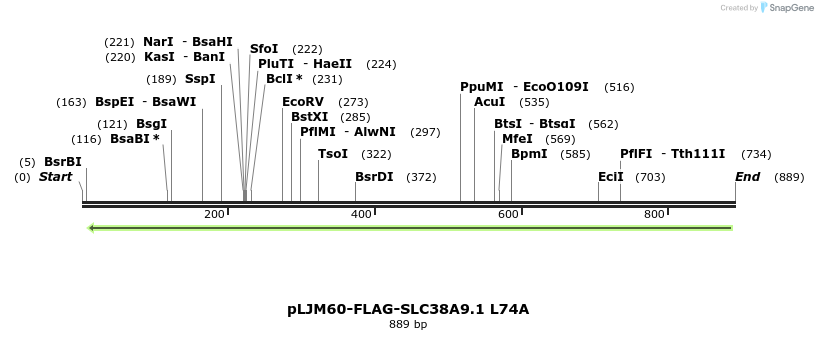 135257_map