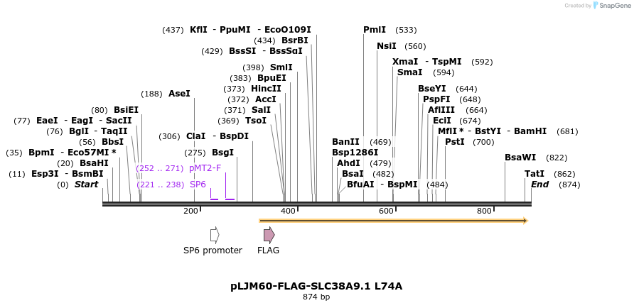 135258_map