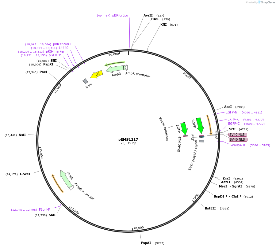 13526_map
