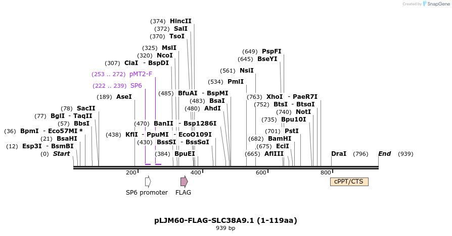 135261_map