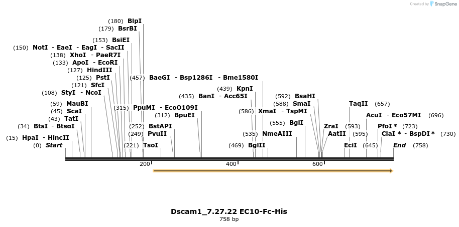 135265_map
