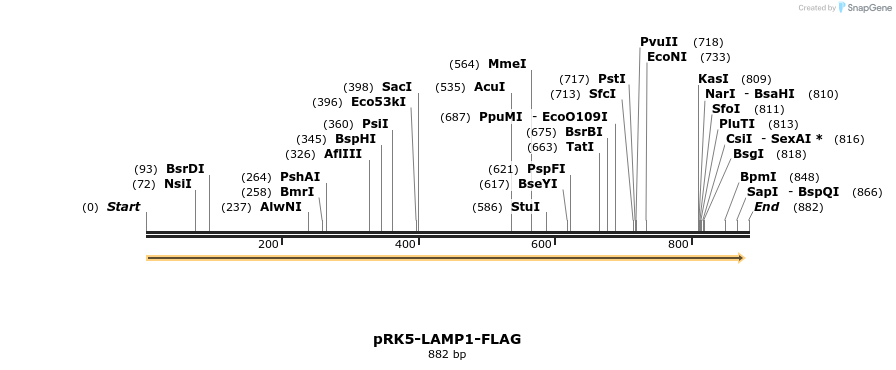 135268_map