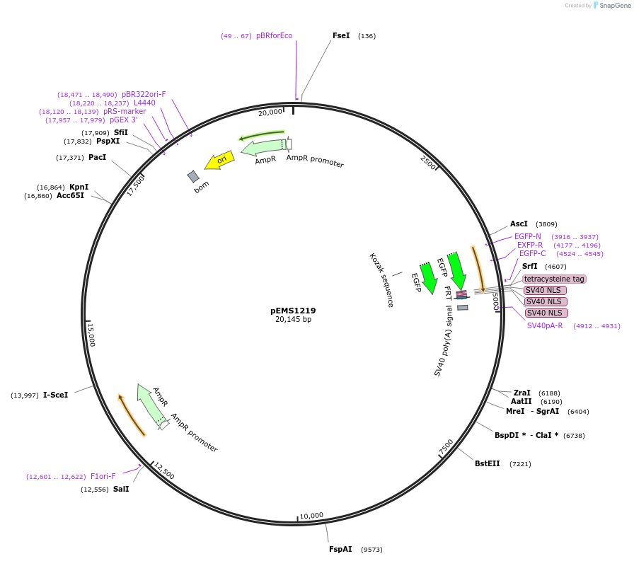 13527_map
