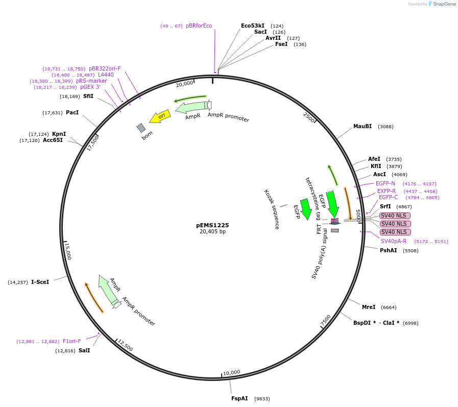13528_map