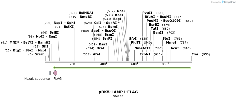 135286_map