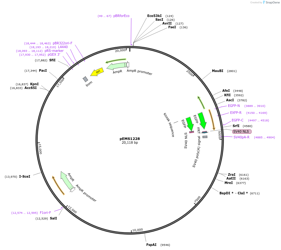 13529_map