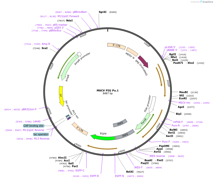 135290_map