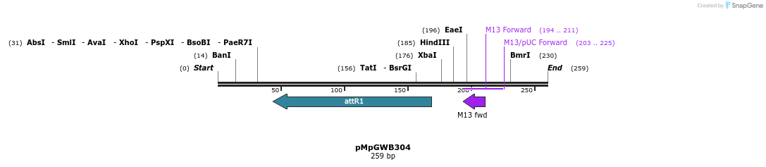 135302_map
