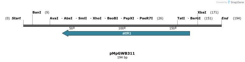 135304_map