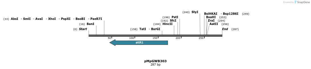 135305_map