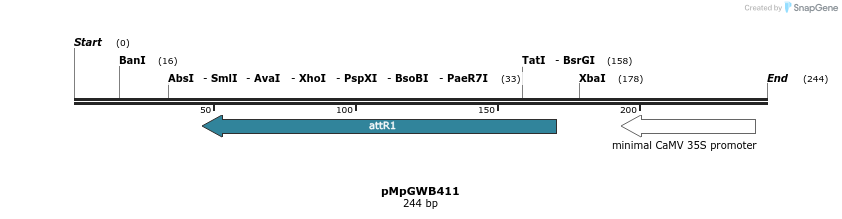 135307_map