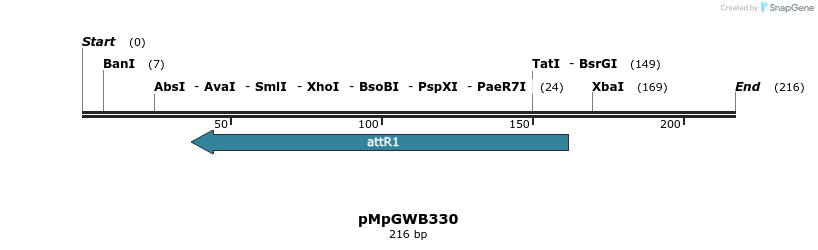 135313_map