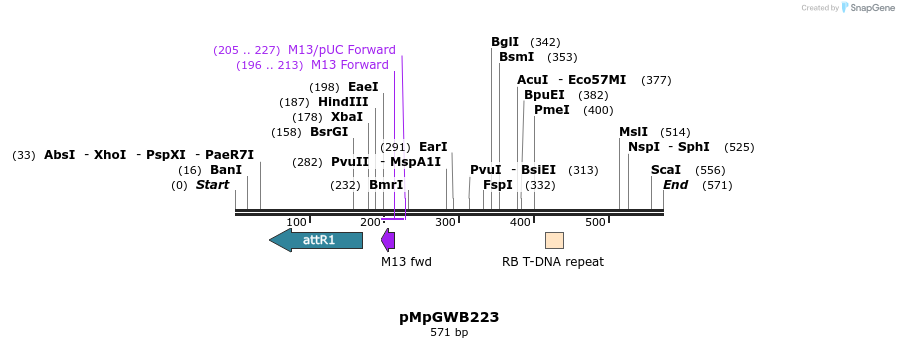 135316_map