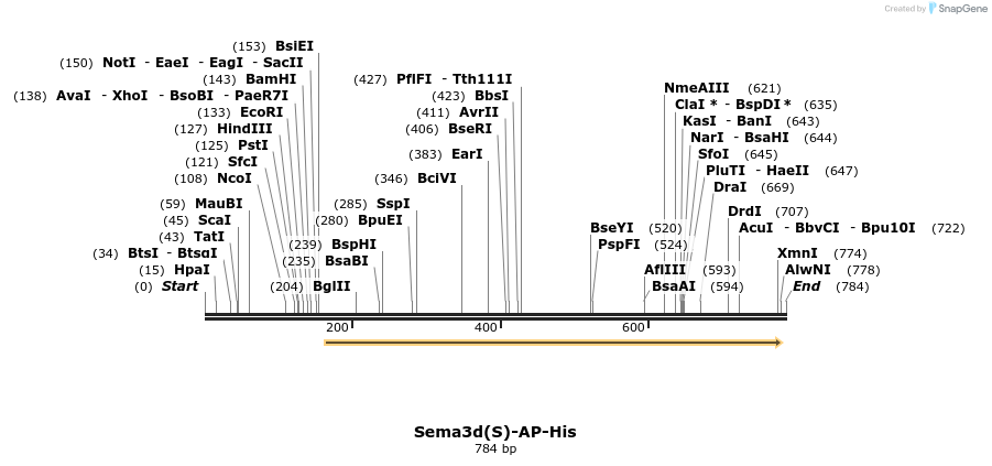 135317_map