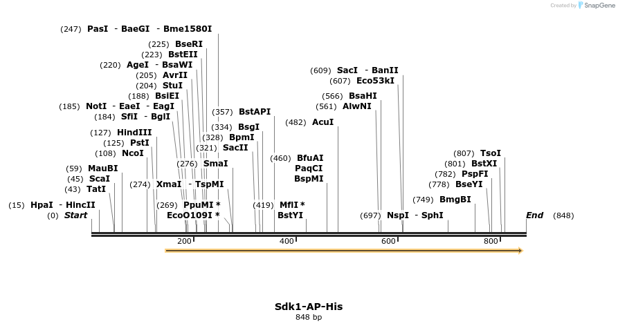 135368_map