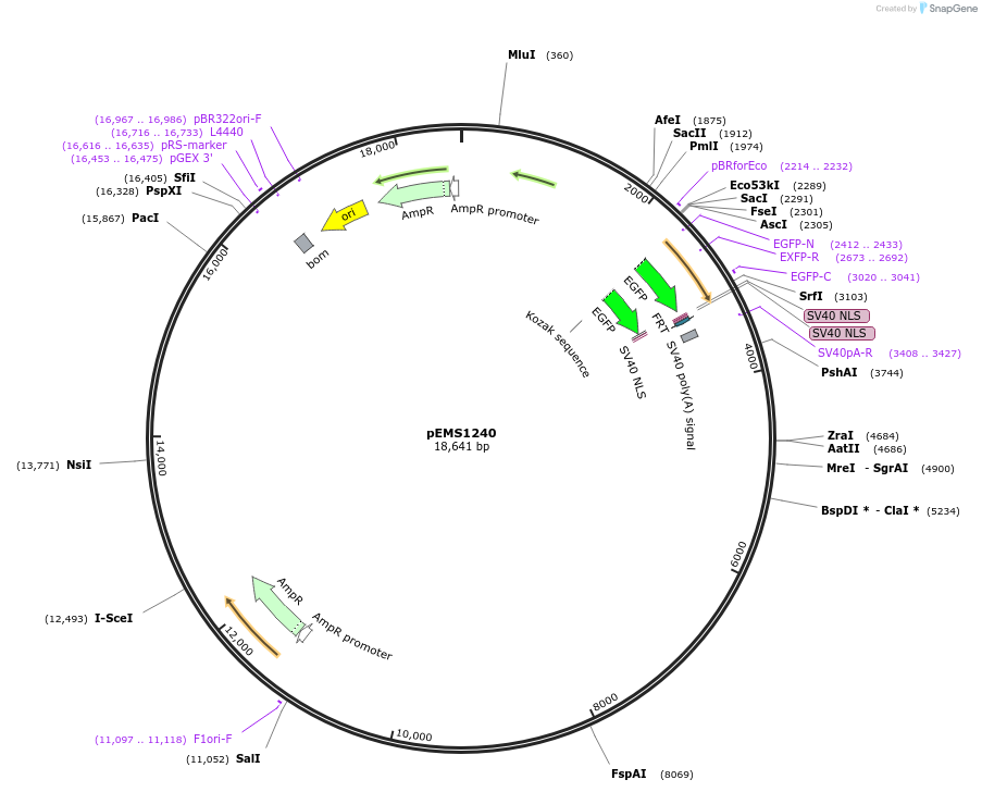 13537_map