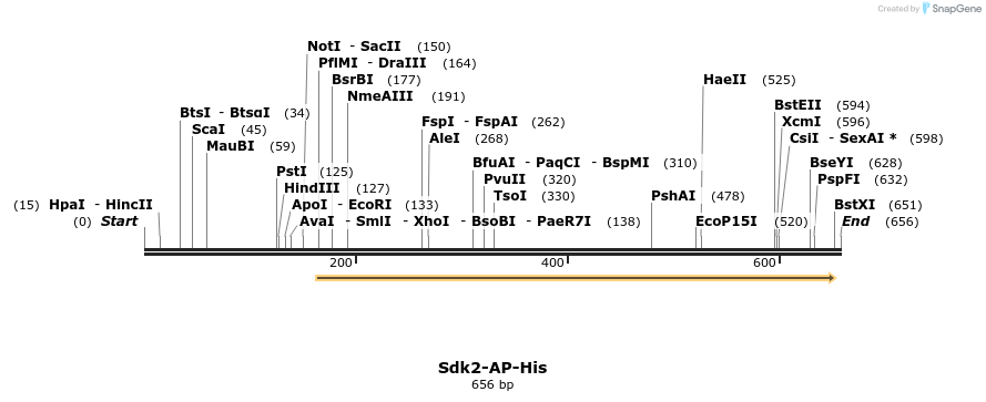135370_map