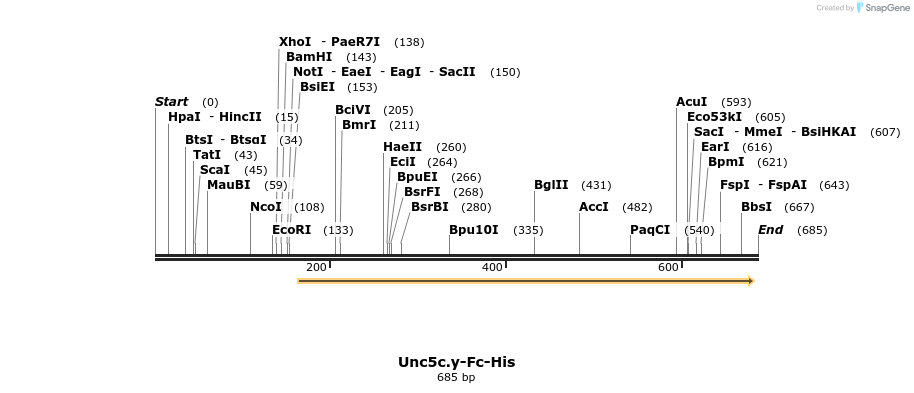 135376_map