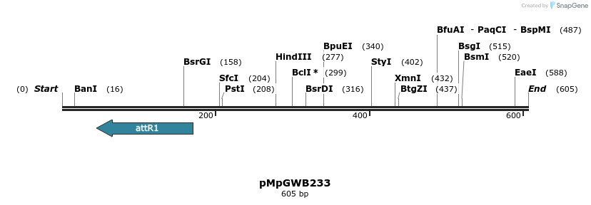 135379_map