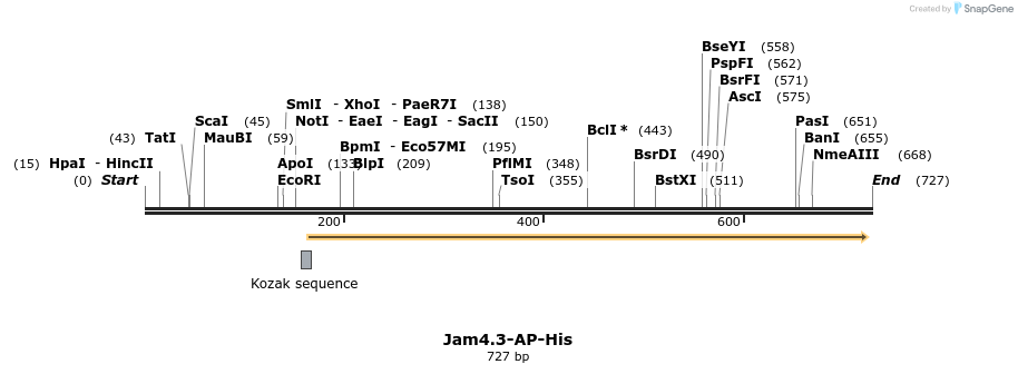135386_map