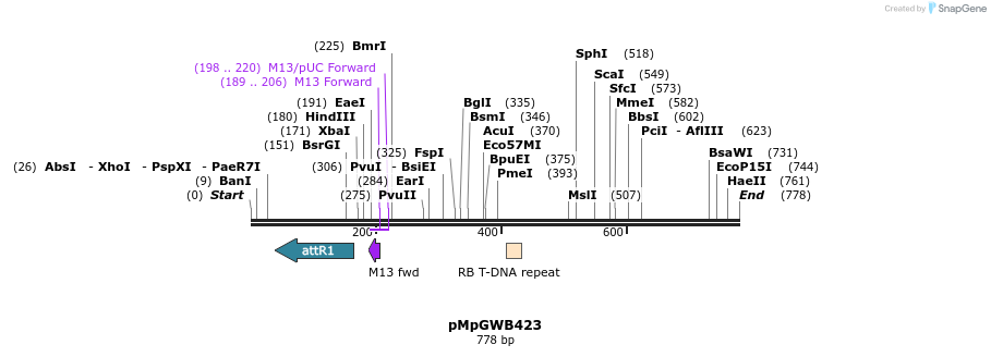 135389_map