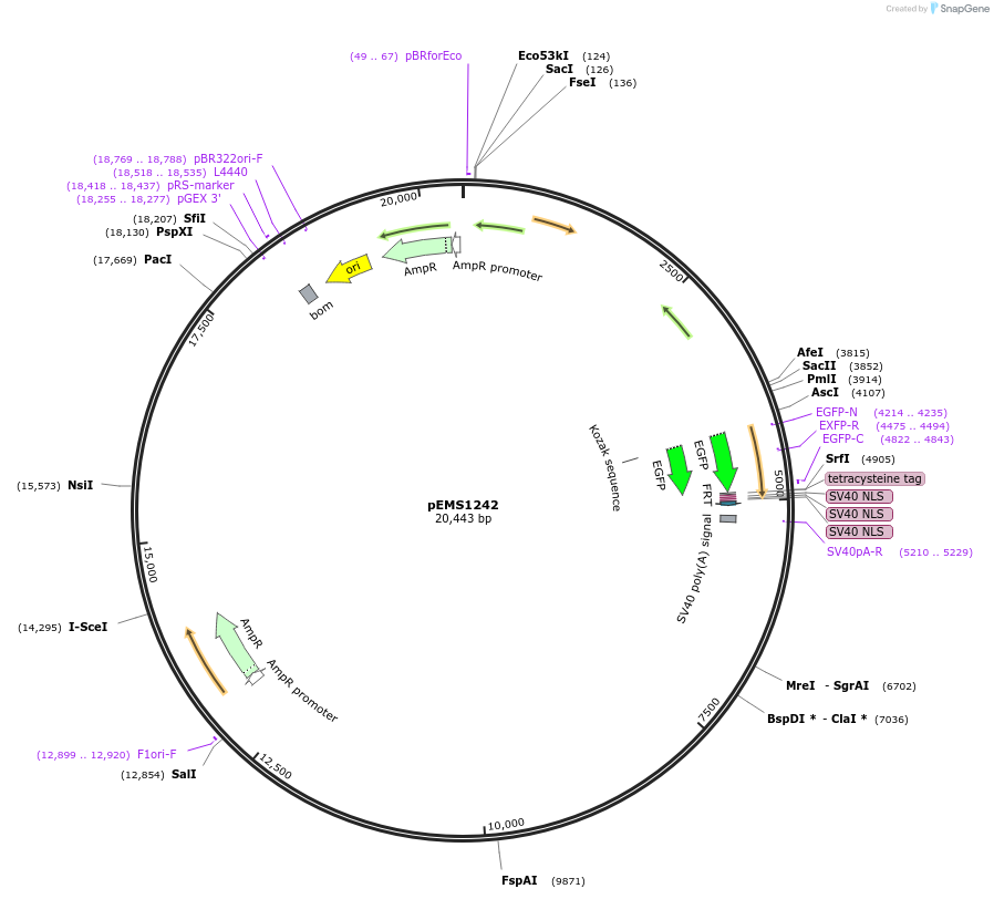 13539_map