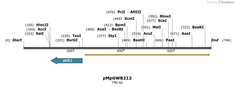 135391_map