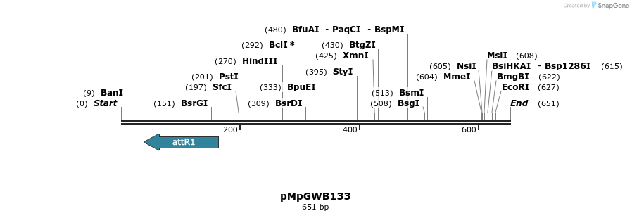 135399_map